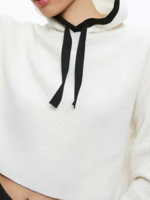Lumi Ribbed Knit Hoodie | Alice and Olivia Best