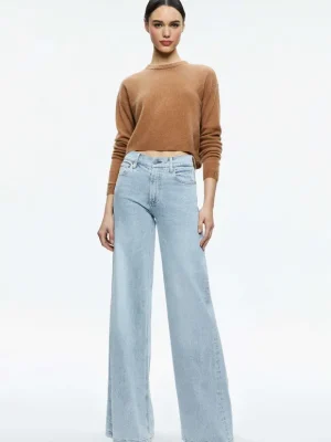 Sherrell Crew Neck Pullover | Alice and Olivia Clearance